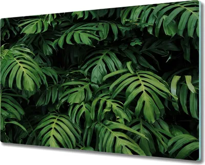 Produktbild von Coloray Hackbrett Kochplattenabdeckung Herdabdeckplatte 80x52 cm Schneidebrett Küchenbrett - tropische Blätter
