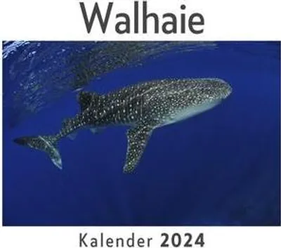 Obrázek produktu pro Velrybí žraloci (nástěnný kalendář 2024, kalendář DIN A4 na šířku, měsíční kalendář na šířku s kalendářem, perfektní dárek)