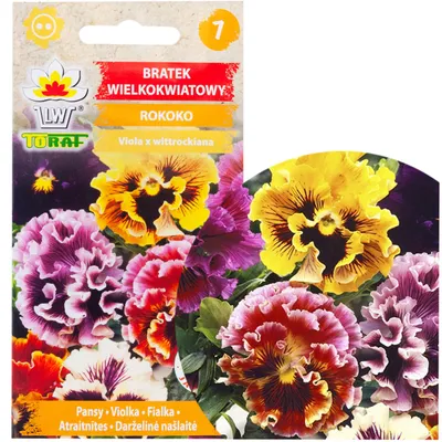 Obrázek produktu pro Semena květů Mimosa (Mimulus) "Rokoko Toraf", 2 g