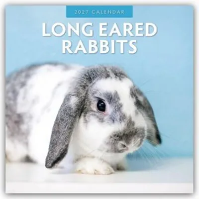 Produktbild von Long Eared Rabbits - Langohrhasen 2027 - 16-Monatskalender