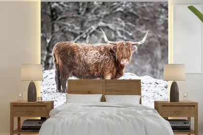 Produktbild von MuchoWow® Fototapete für Wohnzimmer oder Schlafzimmer Wandtapete Vinyl Motivtapete Schottischer Highlander - Baum - Schnee - 240x240 cm - Schlafzimmer-Tapete