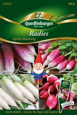 Artikelbild 1 von 'Radies Zipolo Mischung' aus der Kategorie Radieschensamen