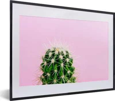 Produktbild von MuchoWow® MuchoWow® Gerahmtes Poster Kaktus auf Rosa 40x30 cm - Poster mit zchwarzem Bilderrahmen - Bilderrahmen - Poster im Rahmen