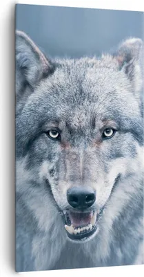 Produktbild von Bild auf Leinwand - Leinwandbild - Einteilig - Wolf Raubtier Wildheit - 65x120cm - Wand Bild - Wanddeko - Wandbilder - Leinwanddruck - Bilder - Wanddekoration - Leinwand bilder - PA65x120-5073