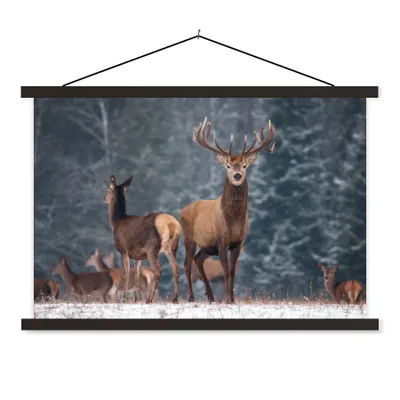 Produktbild von MuchoWow® Textilposter Waldtiere - Hirsche - Landschaft - Winter - Schnee - Natur 60x40 cm mit schwarzem Rahmen - Hölzernes