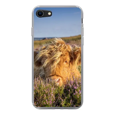 Produktbild von MuchoWow® Handyhülle Schutzhülle Hülle für iPhone 8 Schottische Highlander - Heide - Gras - Tiere Silikon Softcase Handy Hülle - Schutzhaube