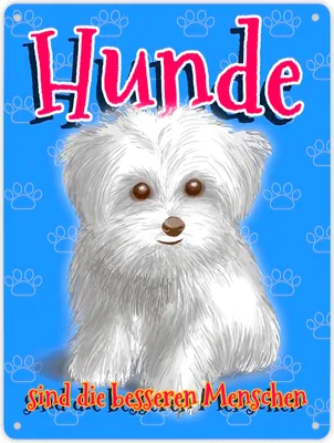 Produktbild von Metallschild XL in 21x28 cm mit Hunde Motiv und Spruch - Hunde sind die