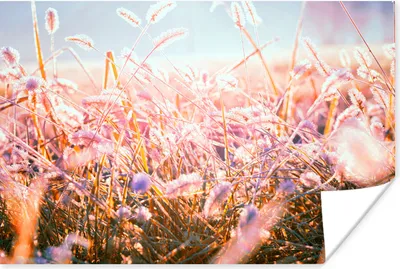 Produktbild von MuchoWow® Poster Winter - Eis - Sonne 120x80 cm - Bilder