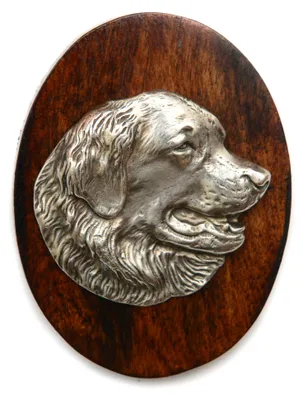 Image de Leonberger - Broche d'exposition, clip avec numéro de départ, badge pour chien de Art-Dog