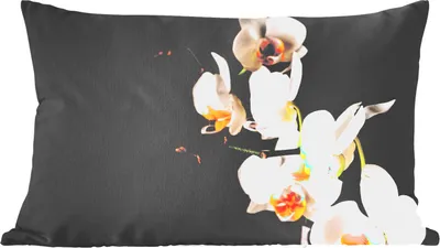 Produktbild von MuchoWow® Zierkissen Sofakissen Wohnzimmer Dekokissen 50x30 cm Orchidee - Blumen - Pflanzen - Botanisch - Wohnzimmerdekoration - Polster mit Photo