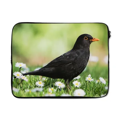 Produktbild von MuchoWow® Laptop Hülle 15 Zoll Vogel - Amsel - Blumen Laptoptasche - Laptoptasche - Sleeve - Rundum-Schutz