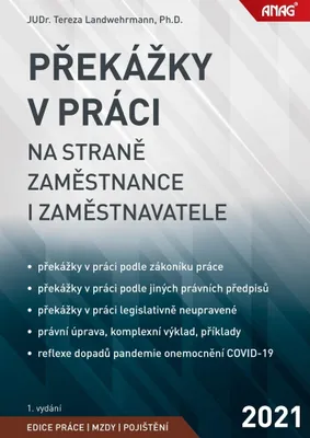 Immagine prodotto di Překážky v práci na straně zaměstnance i zaměstnavatele | Tereza Landwehrmann