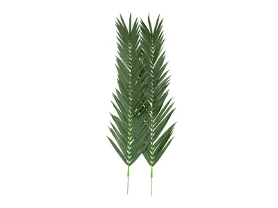 Immagine prodotto di EUROPALMS Fronda di palma da cocco, artificiale, 210 cm (82509848)