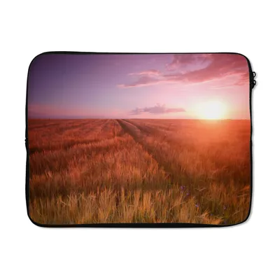 Produktbild von MuchoWow® Laptop Hülle 17 Zoll Laptoptasche Wiese - Sonne - Abend - Landschaft - Zipper - Schutzabdeckung
