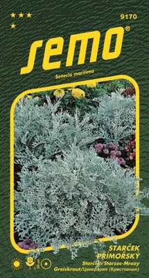 Obrázok produktu pre Semo Starček - Silverdust 0,3g