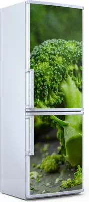 Produktbild von Magnete Dekorative - 60 cm x 180 cm - Küche Magnetmatte Kühlschrankmagnete - Gemüse Brokkoli