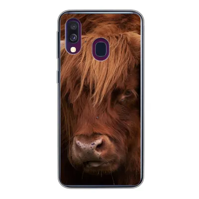 Produktbild von MuchoWow® Handyhülle Schutzhülle Hülle für Samsung Galaxy A40 Schottischer Highlander - Orange - Tiere Silikon Softcase Handy Hülle - Handy-Tasche