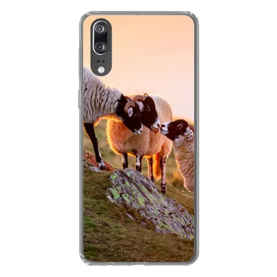 Produktbild von MuchoWow® Handyhülle Schutzhülle Hülle für Huawei P20 Schafe - Tiere - Sonnenuntergang Silikon Softcase Handy Hülle - Hardcover