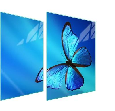 Obrázok produktu pre Sklenená Ochranná Tabuľa Pre Herd 70X52 Butterfly