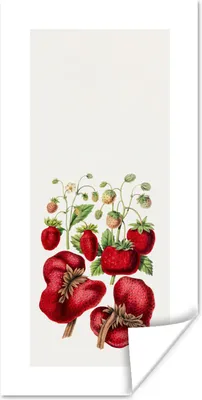 Produktbild von MuchoWow® Poster Erdbeeren - Lebensmittel - Obst 60x120 cm - Wandschmuck