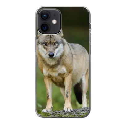 Produktbild von MuchoWow® Handyhülle Schutzhülle Hülle für iPhone 12 Wolf - Asien - Pflanzen Silikon Softcase Handy Hülle - Schutzhülle