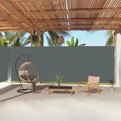 Image de Maison Exclusive - Store latéral extensible anthracite 220 x 1000 cm
