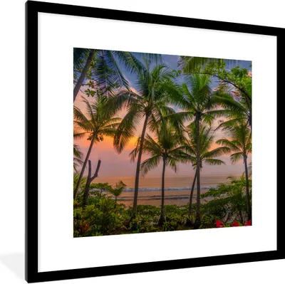 Produktbild von MuchoWow® Gerahmtes Poster Palme - Tropisch - Meer 40x40 cm - Poster mit Schwarzem Bilderrahmen Wandposter Rahmen Foto Bilder - Poster - Plakat im Rahmen