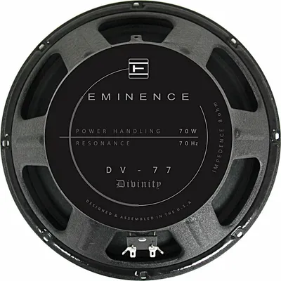 Zdjęcie produktu dla Eminence DV-77 Głośnik Gitarowy / Basowy 8 Ohm