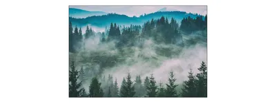 Zdjęcie produktu dla Fototapeta Abstrakcyjna Dekoracja ścienna Zamglony Tropikalny Las Ozdoba 3D łatwa w czyszczeniu do salonu 150 x 225