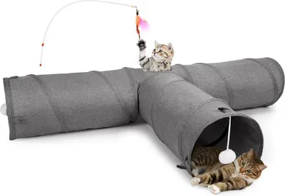 Katzenspielzeug, Hauptbild