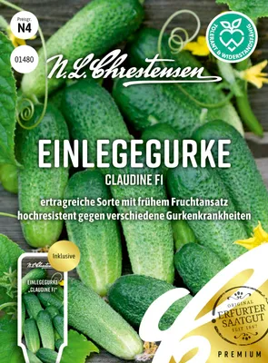 Produktbild von Einlegegurke Claudine F1 | Einlegegurkensamen von N.L. Chrestensen