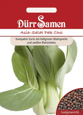 Produktbild von Dürr-Samen - Asia-Salat Pak Choi - Saatgut - 1804