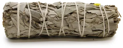 Produktbild von Bündel aus Kräutern – Weißer Salbei und Blauer Salbei, 10 cm