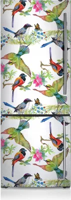 Produktbild von Magnete Küche Kühlschrank Kühlschrankmagnete 70x190 cm - Bunte Vögel.
