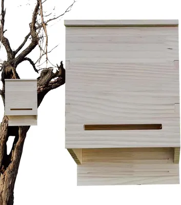 Produktbild von Fledermausunterkünfte für den Außenbereich, Fledermausnest aus Holz mit künstlicher Sitzstange