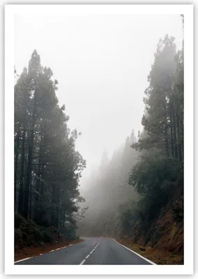 Produktbild von Poster - Poster ohne Rahmen - Weg Nebel Straße - 70x100 cm - Wand Bild - Wanddeko - Wandbilder - Kunstposter - Wandposter - Bilder - Kunstdruck - Wanddekoration - Wandbild - P2XPA70x100-5168