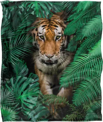 Produktbild von Reinders - Tiger Decke, Seidig, Supersoft TV24716 (Einheitsgröße) (Bunt)