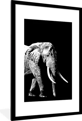Produktbild von MuchoWow® Gerahmtes Poster Elefant vor schwarzem Hintergrund - schwarz und weiß 60x90 cm - Poster mit Schwarzem Bilderrahmen Wandposter Rahmen Foto Bilder - Dekoration - Wandposter Wohnzimmer - Hochwertig