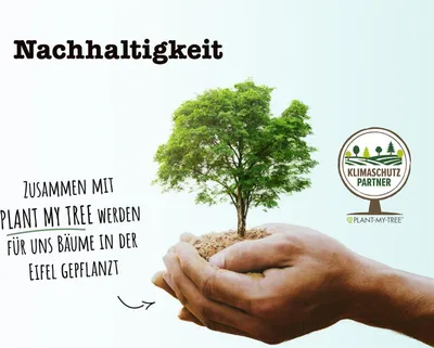 Produktbild von SPINTZ MSM Kapseln hochdosiert 420 Stk.
