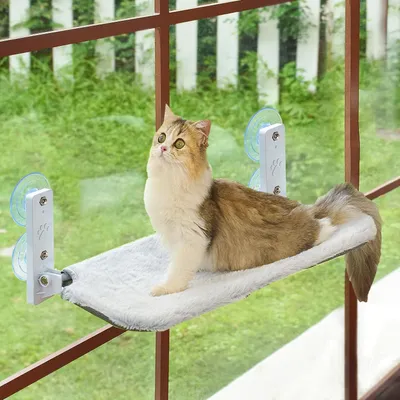 Immagine prodotto di Amaca per gatti, cuccia da finestra pieghevole con ventose, colore grigio, 45x30 cm