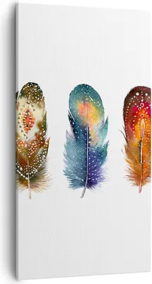 Produktbild von Bild auf Leinwand - Leinwandbild - Einteilig - Feder Vogel Farbe - 55x100cm - Wand Bild - Wanddeko - Wandbilder - Leinwanddruck - Bilder - Wanddekoration - Leinwand bilder - Wandbild - PA55x100-4927