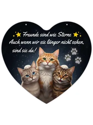 Produktbild von Herz Blechschild Freunde sind wie Sterne HB026