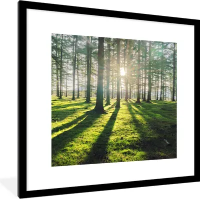 Produktbild von MuchoWow® Gerahmtes Poster Bäume - Natur - Wald 40x40 cm - Poster mit Schwarzem Bilderrahmen Wandposter Rahmen Foto Bilder - Poster - Plakat im Rahmen