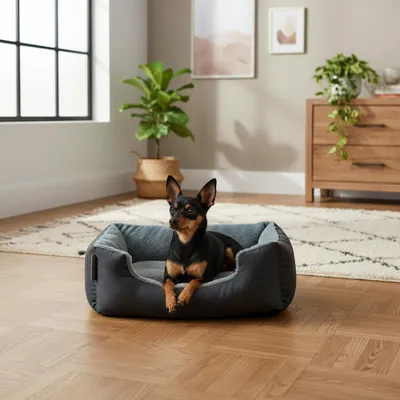 Immagine prodotto di belviona, cuccia per cani con cuscino reversibile, facile da pulire e antiscivolo, luogo accogliente per dormire, 50x37 cm, nero/grigio