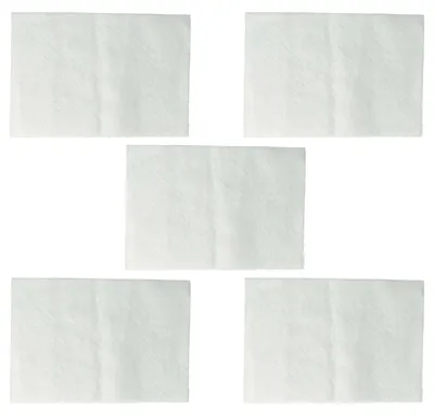 Produktbild von vhbw 5x Staubsaugerfilter Ersatz für Nilfisk 1406879500, VCSZ0000172 Filter für Staubsauger - Schaumstofffilter Weiß