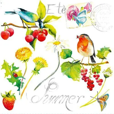 Produktbild von 20 Servietten Summer Birds - Fröhliche Vögel im Sommer 33x33cm