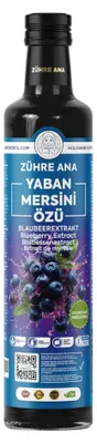 Produktbild von Zühre Ana | Blaubeer Extrakt 640g