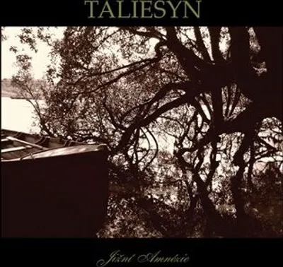 Zdjęcie produktu dla Jižní Amnésie – Taliesyn (płyta CD)