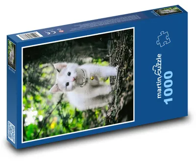 Zdjęcie produktu dla martinpuzzle - Puzzle 1000 elementów - Kot w lesie