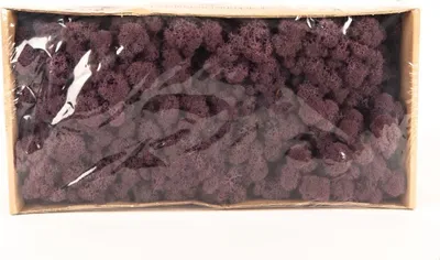 Produktbild von INNA-Glas Dekoratives Moos SVEINBJÖRN, aubergine, 500g - Echtes Isländisches Moos